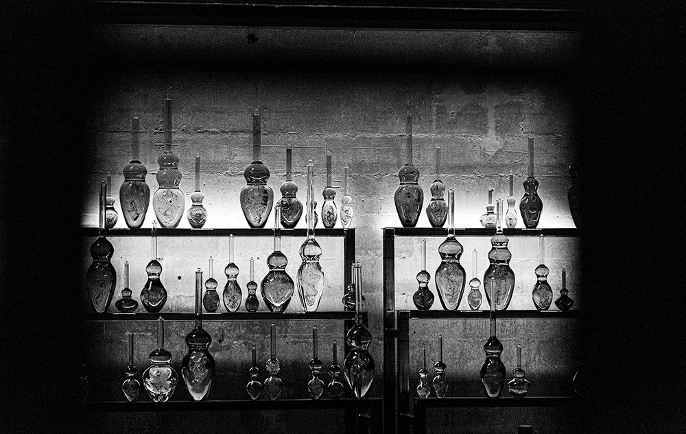 Black and white photograph of rows of glass bottles on backlit shelves, each a different shape and size, against a stone wall. 